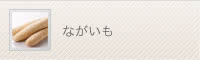 ながいも