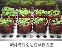醗酵時間別幼植試験検査