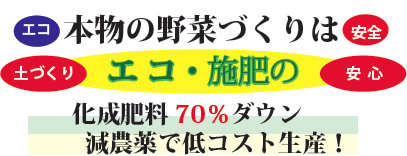 本物の野菜づくり