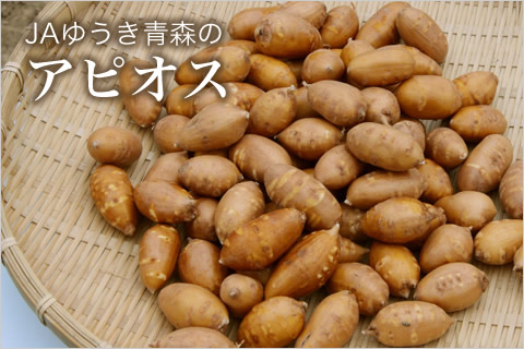 JAゆうき青森のアピオス