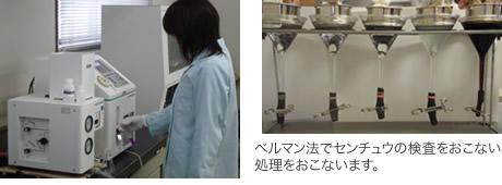 ベルマン法でセンチュウの検査をおこない処理をおこないます。