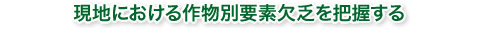 現地における作物別要素欠乏を把握する